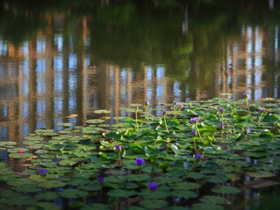 景园悦海湾实景图