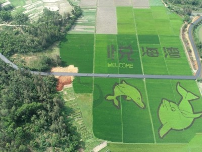 富力悦海湾实景图