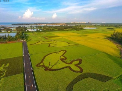 富力悦海湾实景图