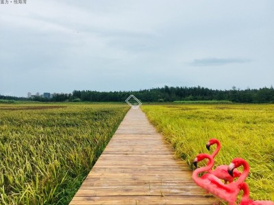 富力悦海湾实景图