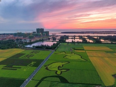 富力悦海湾实景图