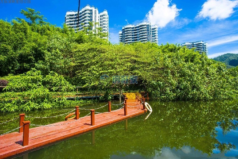 实景图