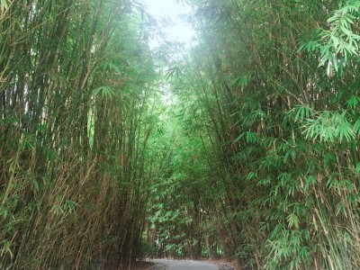 保利崖州湾实景图