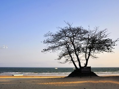 华润石梅湾九里实景图