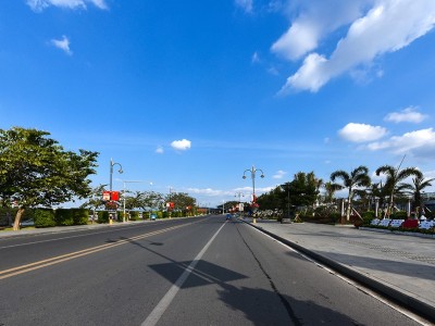 清凤椰林阳光实景图