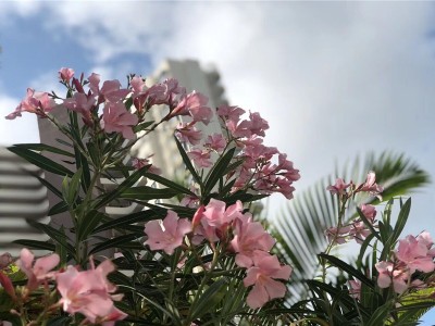 航天云海台实景图