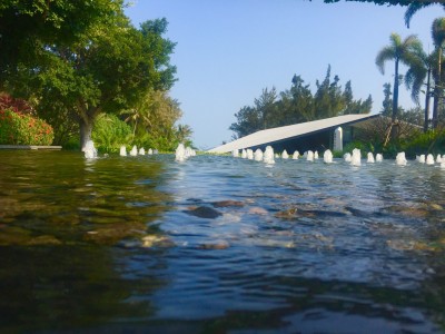 实地海棠华著实景图