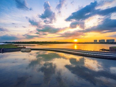 海口十里春风实景图