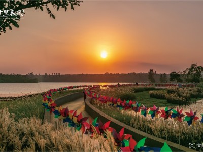 海口十里春风实景图