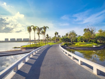 海口十里春风实景图