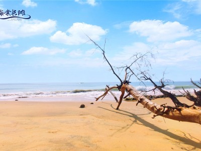 海棠长滩别院实景图