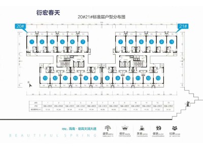 衍宏春天效果图