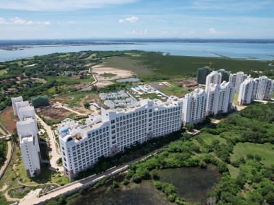 古盐田白鹭湾实景图