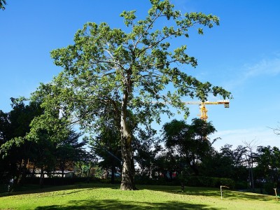 龙栖湾温泉1号实景图