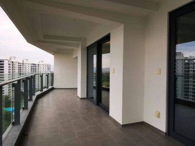 艺海棠样板间