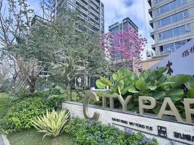 凯博风梧桐樾实景图